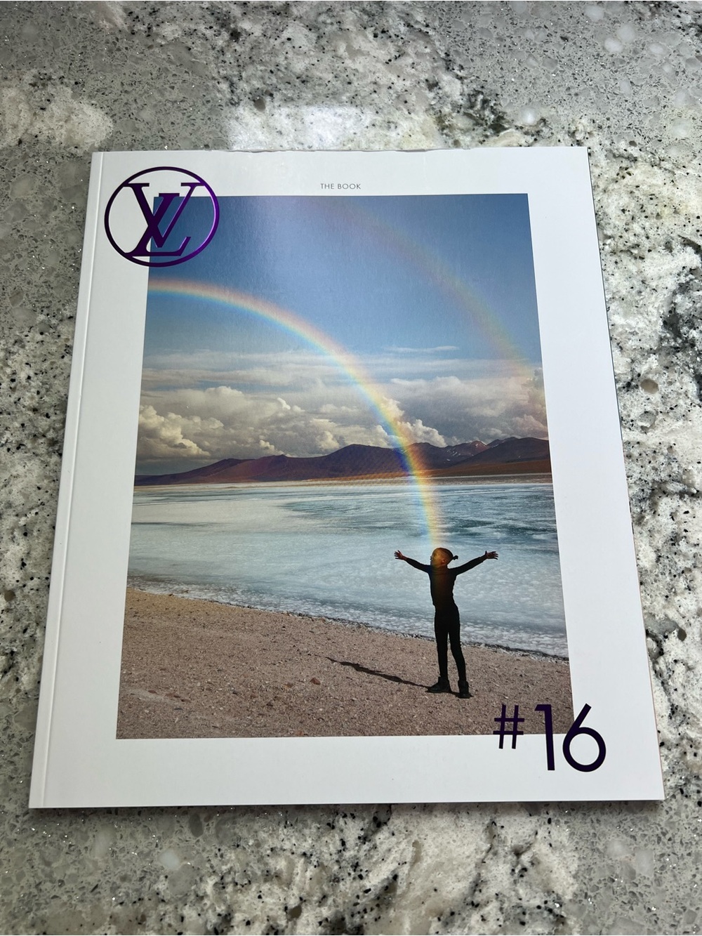 Louis Vuitton The Book #16